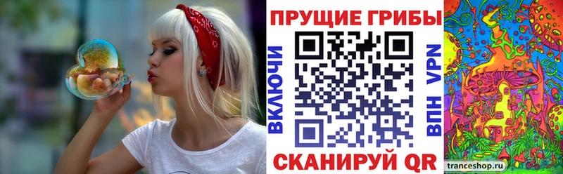 Купить  Тара  Псилоцибиновые грибы прущие грибы 